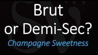 Whats the Difference between Brut and DemiSec Champagne Sparkling Wine Cava Prosecco [upl. by Uno]