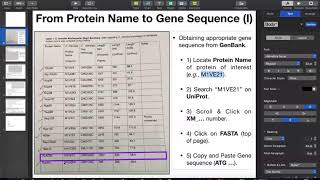 Using UNIPROT amp GenBank to Locate Gene Sequences Given a Known Protein [upl. by Maddis]