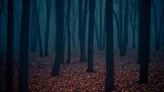 Free Horror Ambiance  Ominous Background Music [upl. by Breed588]