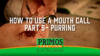 How to Use a Mouth Call Part 5  Purring [upl. by Nitsir]