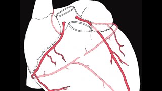 Coronary circulation  an Osmosis Preview [upl. by Romeon]