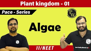 Plant Kingdom 01  Algae  Class 11  CBSE  NCERT  NEET  PACE SERIES [upl. by Hcirdeirf]