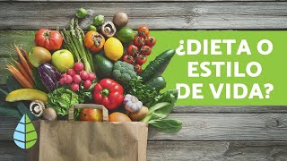 Diferencia entre VEGANO VEGETARIANO y CRUDIVEGANO [upl. by Moberg]