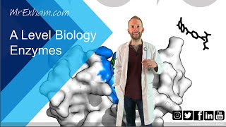 Enzymes Part 2  Inhibition  A Level Biology [upl. by Kcirtemed]