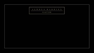 Aldous Harding  Elation Official Video [upl. by Shandee]