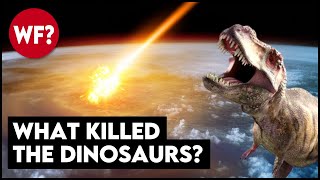 Why The Dinosaurs Died  The Chicxulub Asteroid Impact [upl. by Queri]