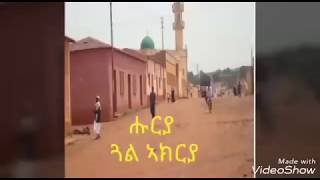 eritrean music krar fgra huruya gal akrya [upl. by Zizaludba]