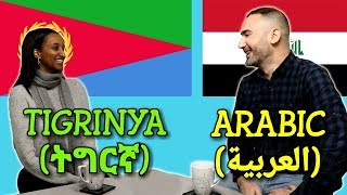 Similarities Between Tigrinya and Arabic [upl. by Emelda]