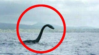 Mysterious Loch Ness Monster [upl. by Hama361]