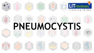 Pneumocystis [upl. by Aderb915]