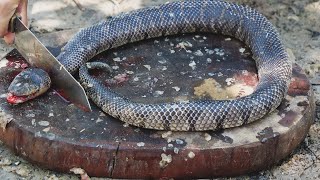 Giant Snake Soup  Delicious Big Python Boil For Food  Wilderness Food [upl. by Dukie]