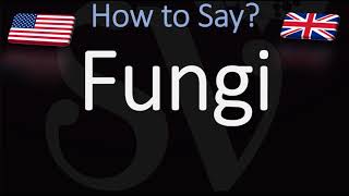 How to Pronounce Fungi [upl. by Tyne]