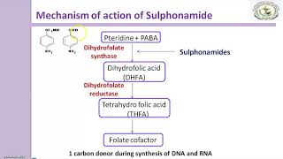 Sulfonamides Mechanism of action [upl. by Baerman982]