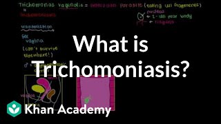 What is trichomoniasis  Infectious diseases  NCLEXRN  Khan Academy [upl. by Sidran]