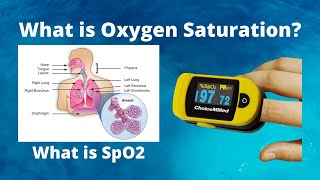 What is Oxygen Saturation SpO2 [upl. by Dasa412]