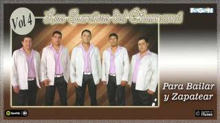 Los Sureños del Chamamé Para bailar y zapatear Full Album Música chamamecera [upl. by Baudin]