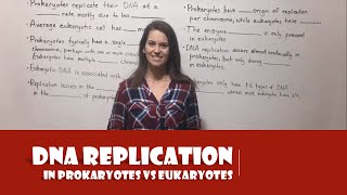 DNA Replication in Prokaryotes vs Eukaryotes [upl. by Cornall830]