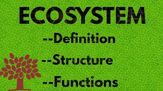 ECOSYSTEM  Definition  Structure And Functions [upl. by Llevad253]