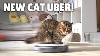 My Robot Vacuum Transformed into a Cat Uber  Kittisaurus [upl. by Aikin765]