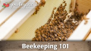 Beekeeping for Beginners  Hive Set Up [upl. by Yetnom]