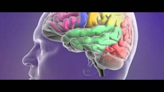 What is epilepsy  Epilepsy Society [upl. by Nekcerb304]