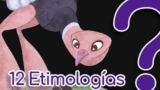 12 Palabras de origen curioso  etimologías [upl. by Yim]