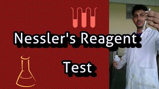 Nesslers Reagent Test [upl. by Awuhsoj]