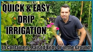 Quick amp Easy Drip Irrigation System for Raised Beds Containers amp In Ground Beds [upl. by Bertine970]