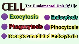 Exocytosis  Endocytosis  Phagocytosis  Pinocytosis  Receptor Mediated Endocytosis REM [upl. by Rabka]