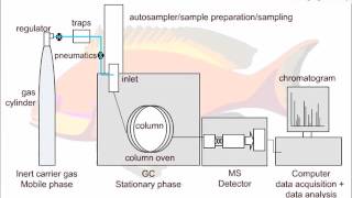 Strategies for GCMS Method Development [upl. by Irfan]