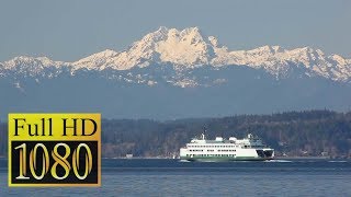 Bremerton Ferry ⛴  Seattle Day Trip [upl. by Aninad]