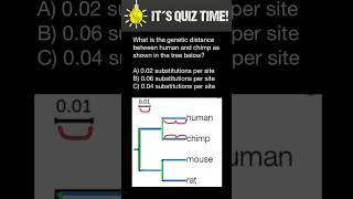 How to understand phylogenetic trees [upl. by Morette960]